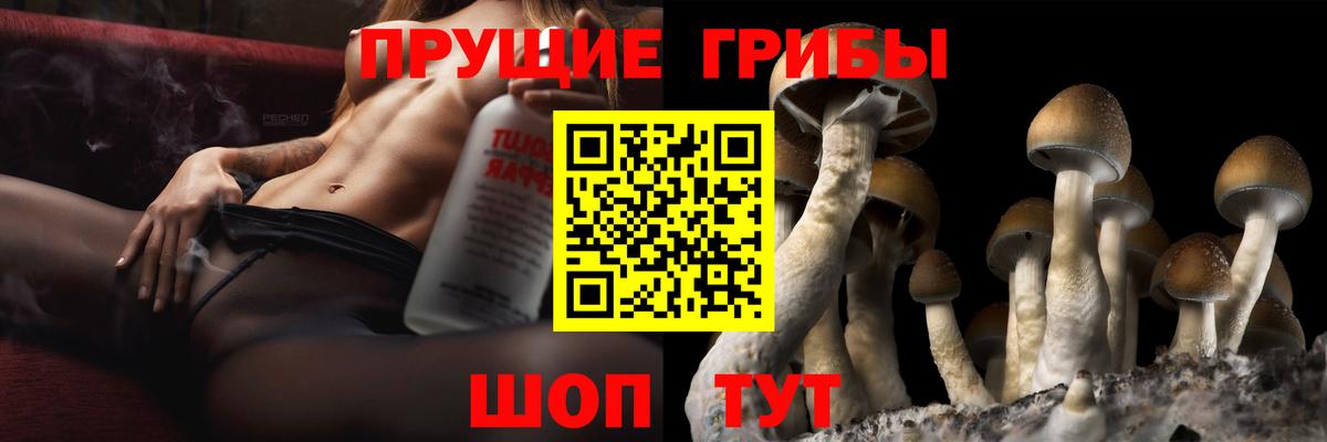 Сердобск  Псилоцибиновые грибы прущие грибы  Вход с VPN 